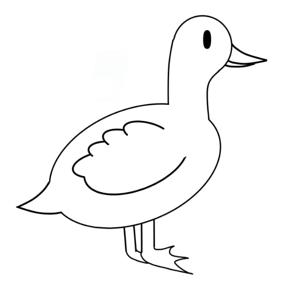 desenhar-pato-passo-10