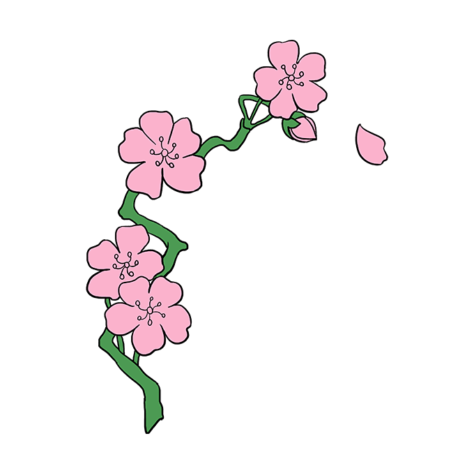 desenhar-Flor-cerejeira-passo-10