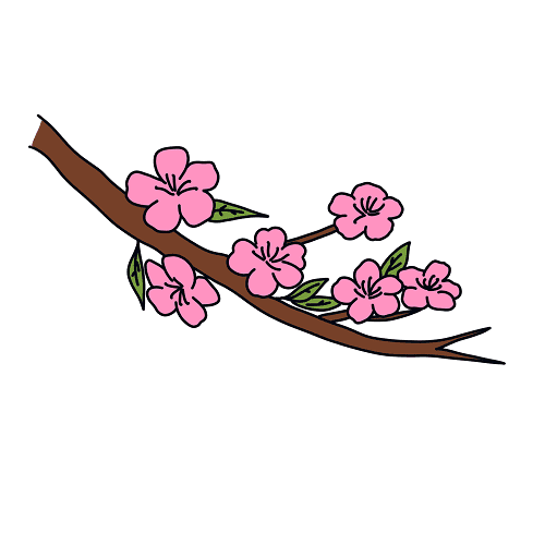 Flor pêssego