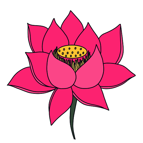 desenhar-Flores-lotus-passo-4