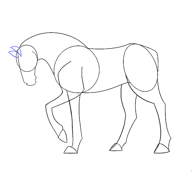 Como Desenhar um Cavalo Passo a Passo: Guia Completo