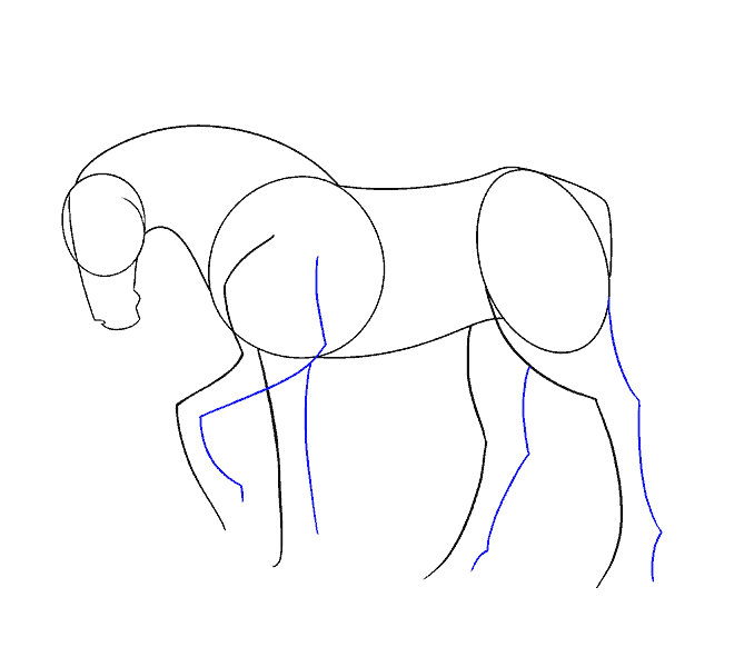 Como Desenhar Cavalo Com Ilustração De Desenho Animado Em 6 Passos Com  Fundo Branco Ilustração Stock - Ilustração de cavalo, rato: 181547373