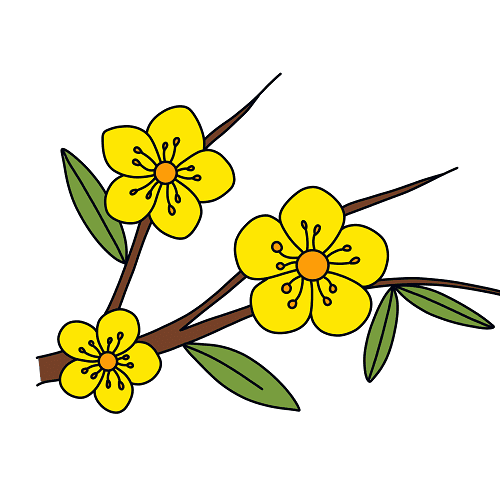 desenhar-flores-damasca-passo-10