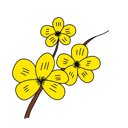 desenhar-flores-damasca-passo-4-1