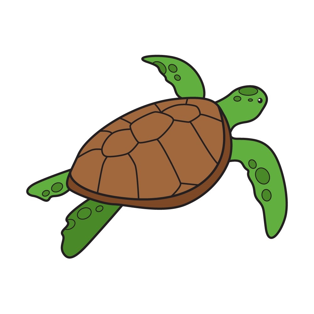 desenhar-tartaruga-passo-7