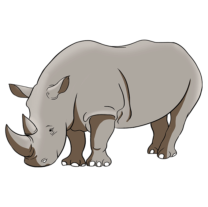 desenhar-Rinoceronte-passo-7
