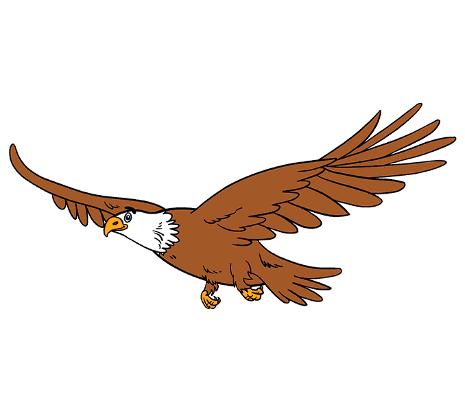desenhar-aguia-passo-11
