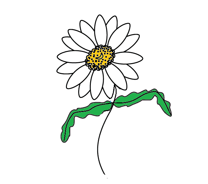 Desenhar-Crisantemo-passo-7