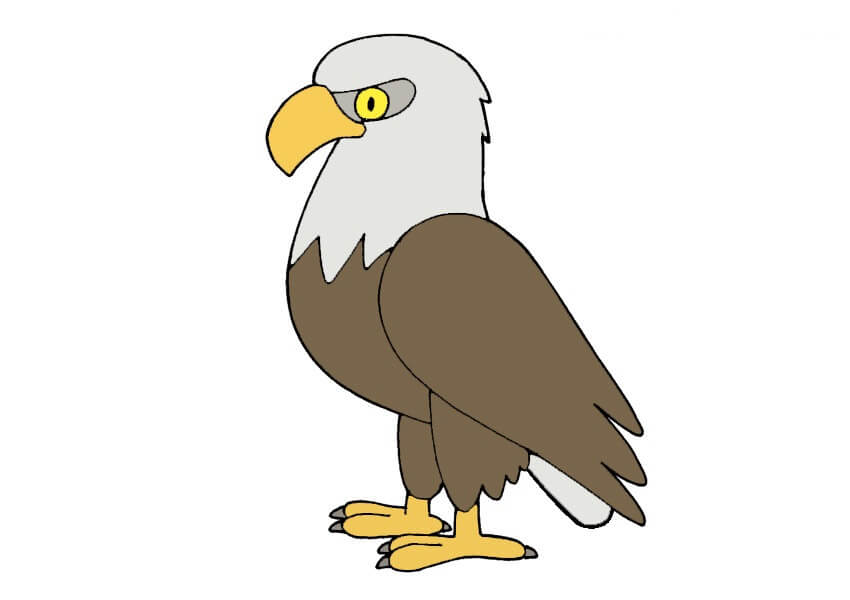 Desenhar-aguia-passo-8