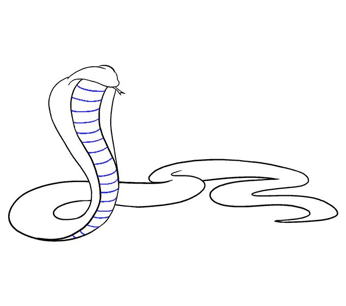 Como desenhar como desenhar uma cobra 