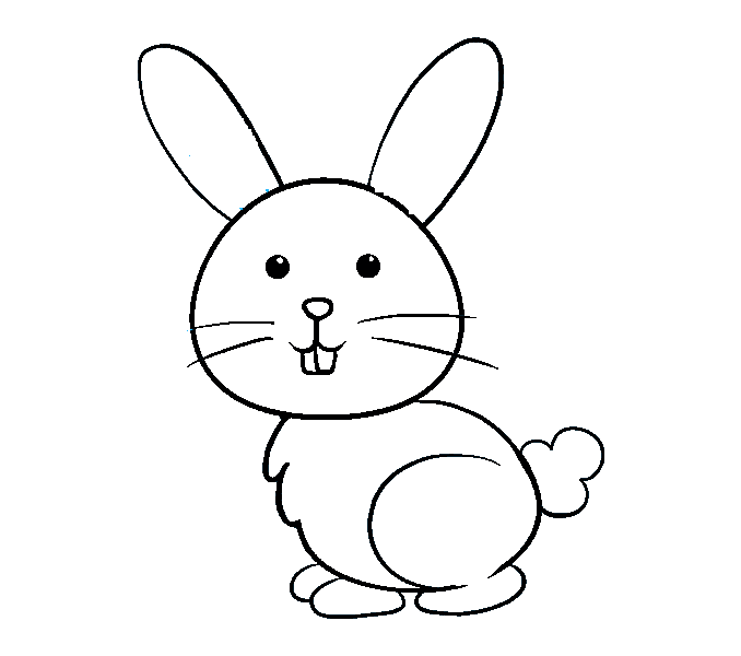 Desenhar-coelho-passo-7