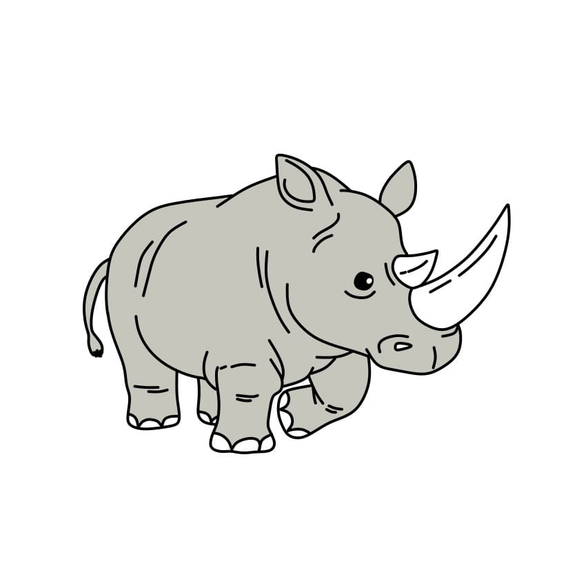 desenhar-rinoceronte-passo13