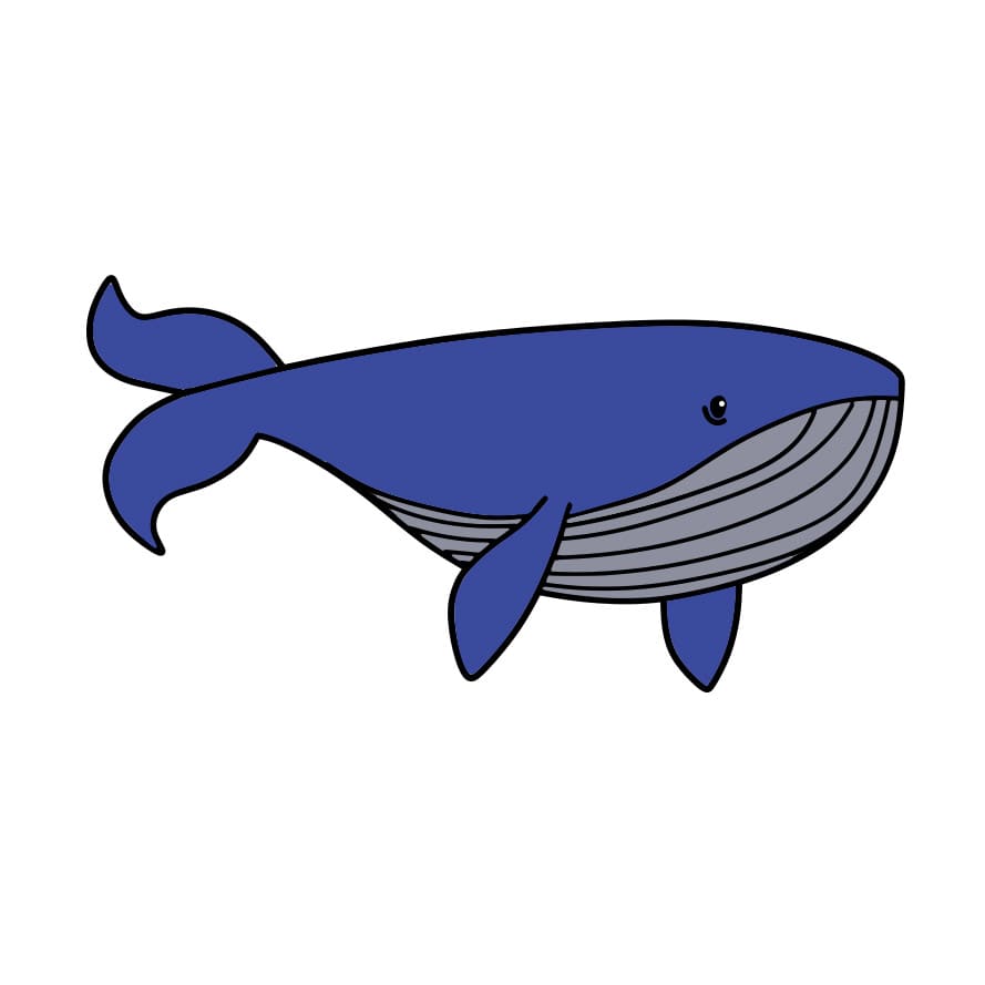 desenho-de-baleia-passo6