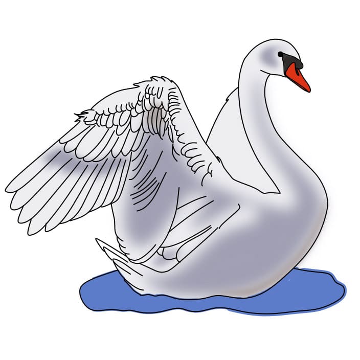 desenho-de-cisne-passo17-1