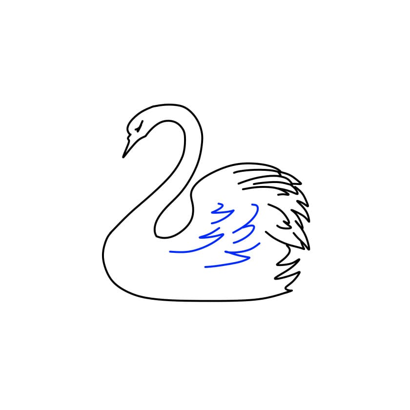 desenho-de-cisne-passo8-1