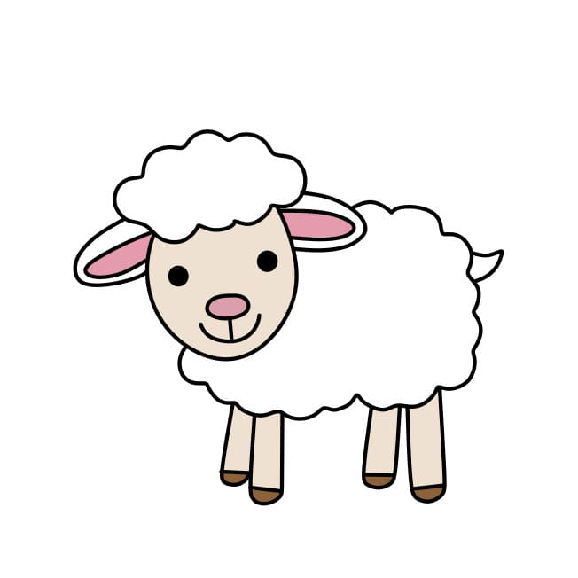 desenho-de-ovelhas-passo8