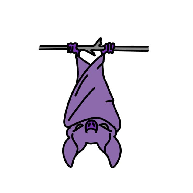 desenhando-um-morcego-passo9-2