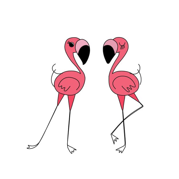 Desenhando-um-flamingo-passo13
