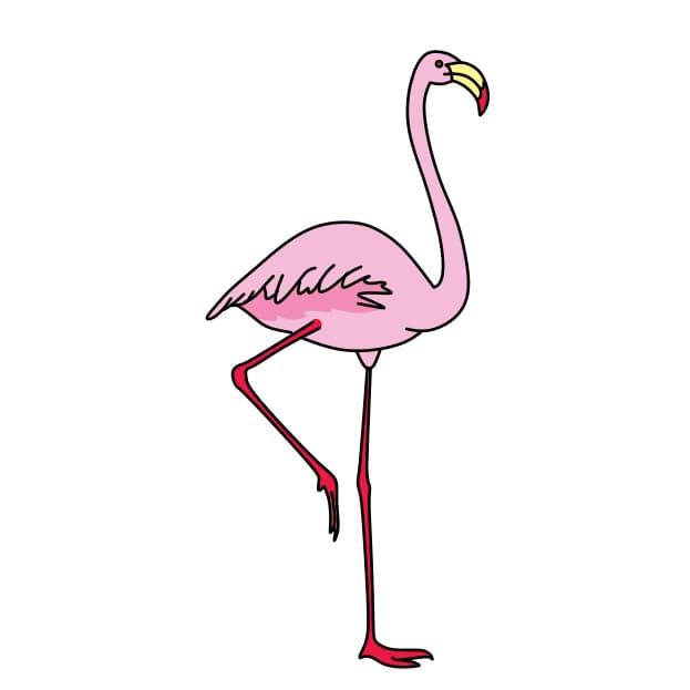 Desenhando-um-flamingo-passo7-2