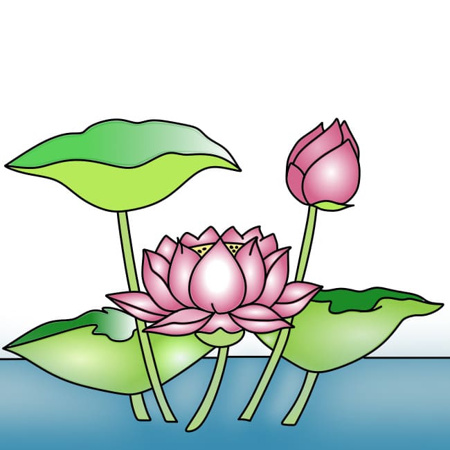 desenho-flor-de-lotus-passo11-1