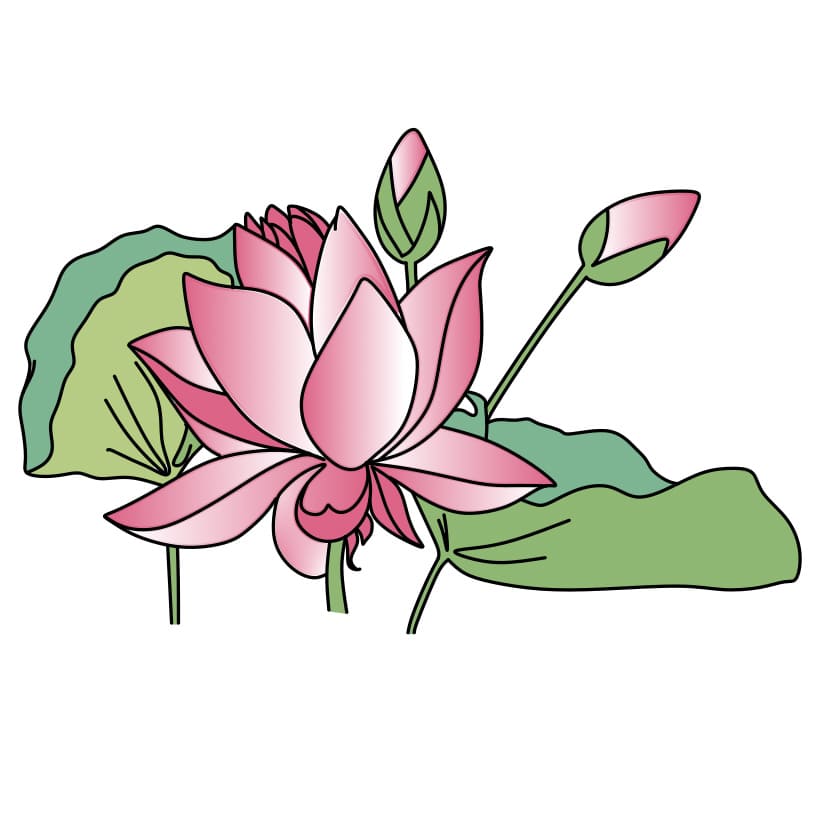 desenho-flor-de-lotus-passo8-1
