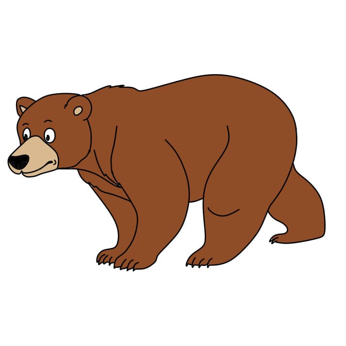 Como-desenhar-um-urso-passo8-1