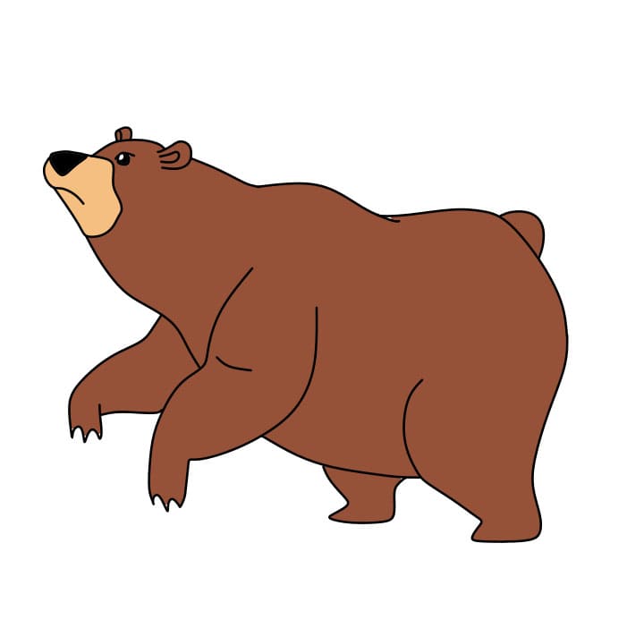 Como-desenhar-um-urso-passo8-4