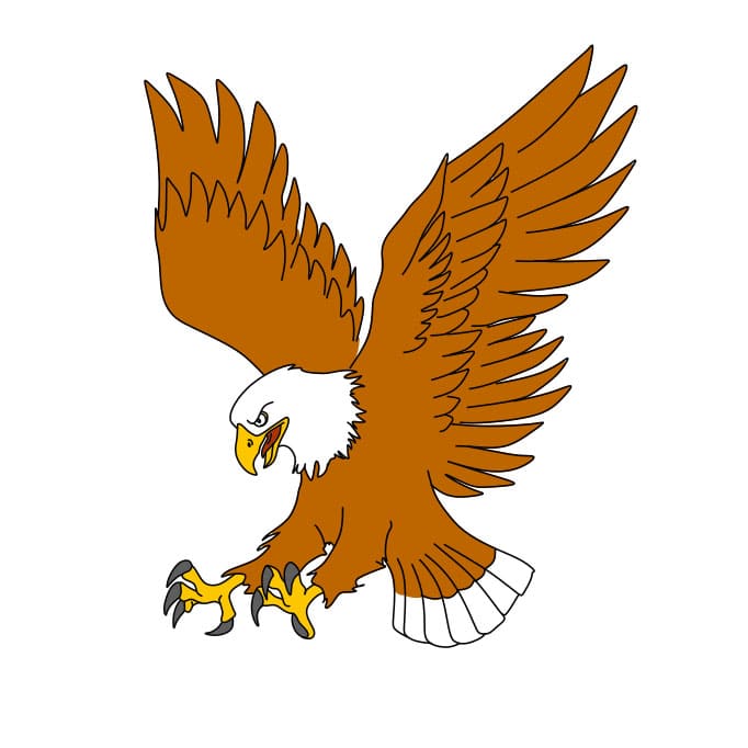 Como-desenhar-uma-aguia-Passo-10-1