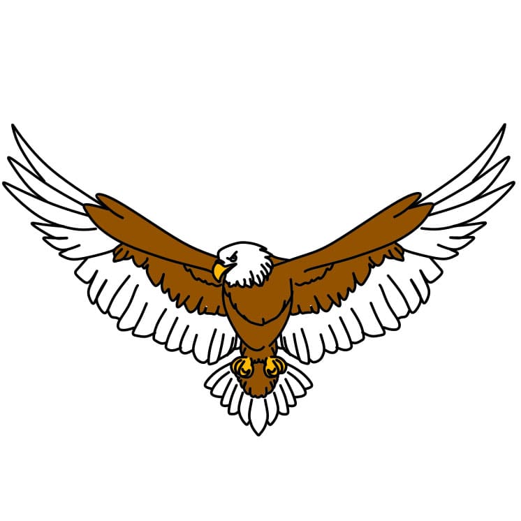Como-desenhar-uma-aguia-Passo-9-2