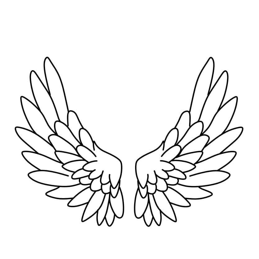 Como-desenhar-asas-de-anjo-Passo-4-5
