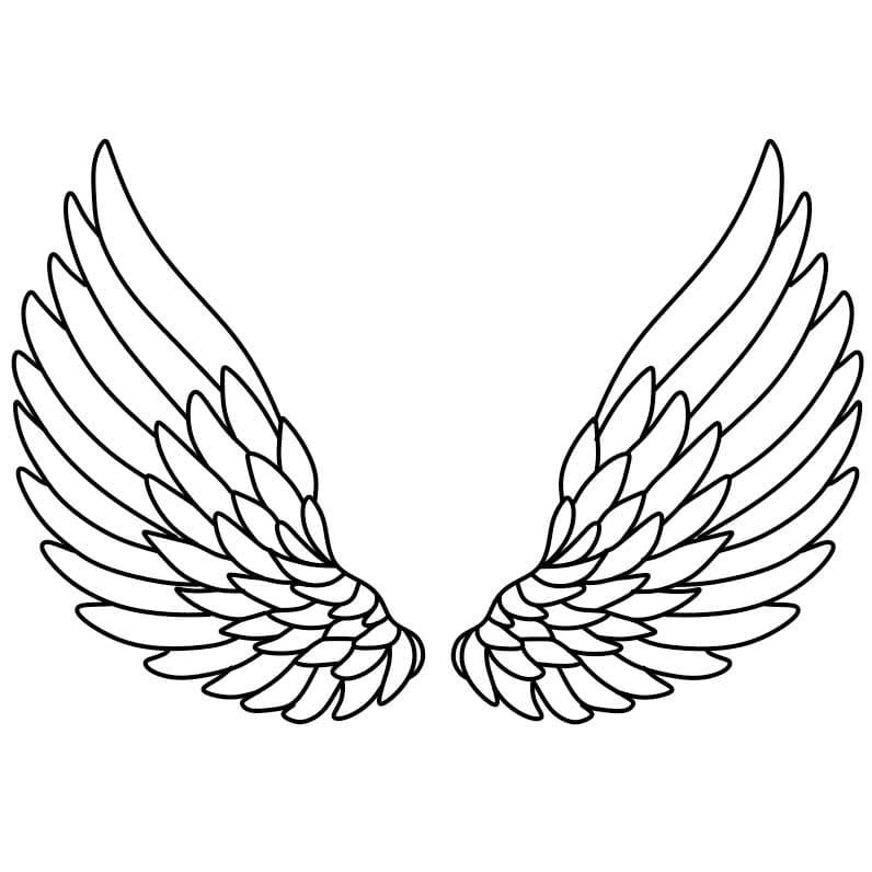 Como-desenhar-asas-de-anjo-Passo-5-1