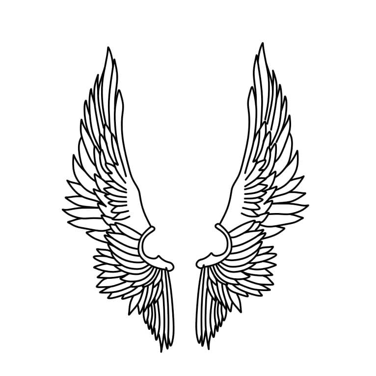 Como-desenhar-asas-de-anjo-Passo-8