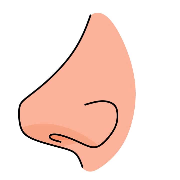 Como-desenhar-um-nariz-Passo-3-3